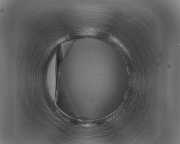 X0000084520692200703091602