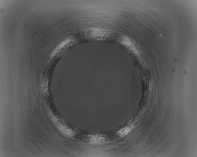 X0000084520693200703091602