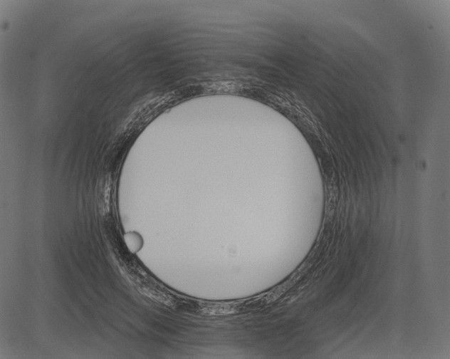 X0000084520694200703091602