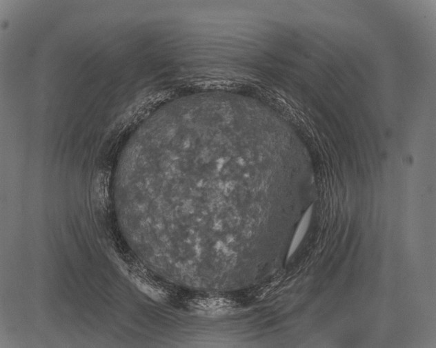 X0000084520695200703091602