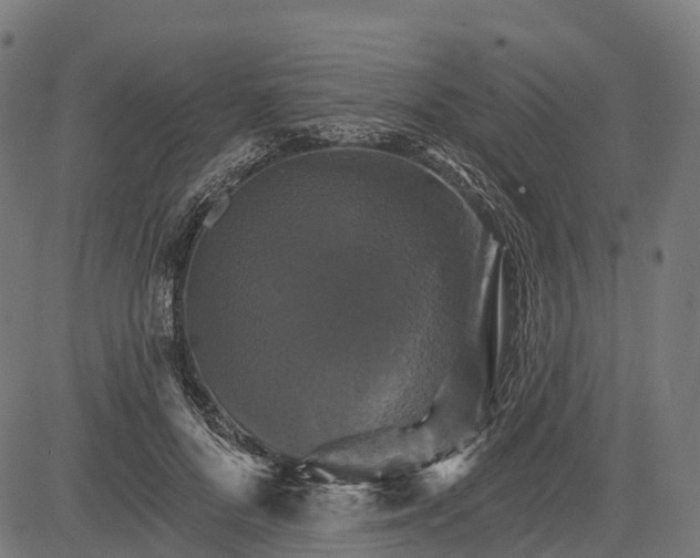 X0000084520696200703091602