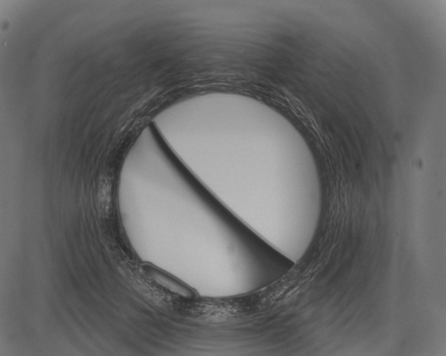 X0000084520697200703091602