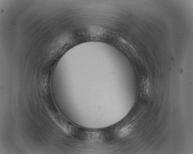 X0000084520698200703091602