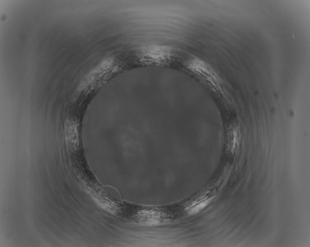 X0000084520699200703091602