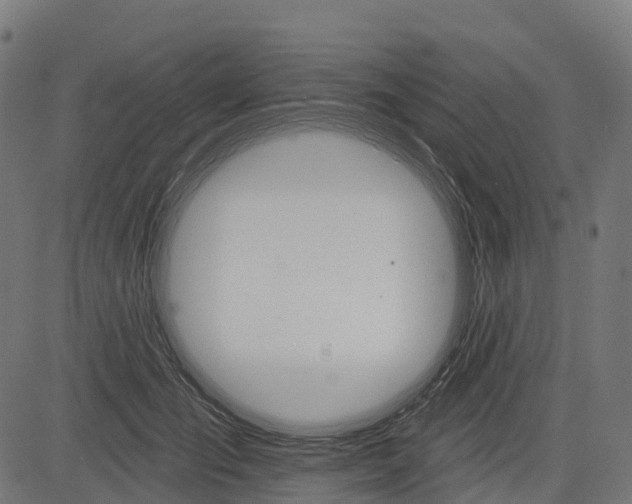 X0000084520701200703091602