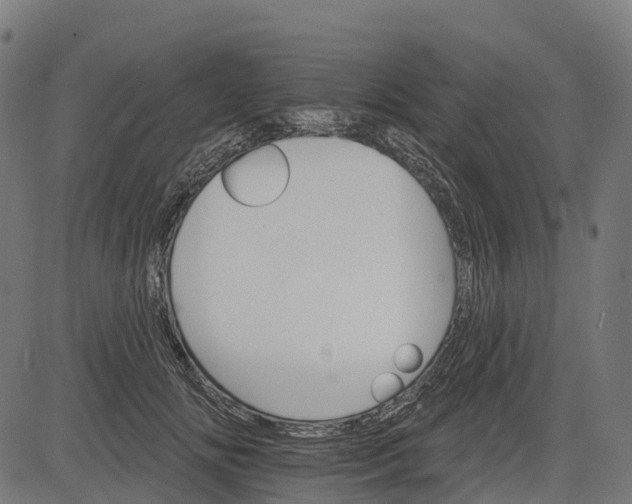 X0000084520702200703091602