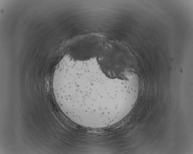 X0000084520703200703091602