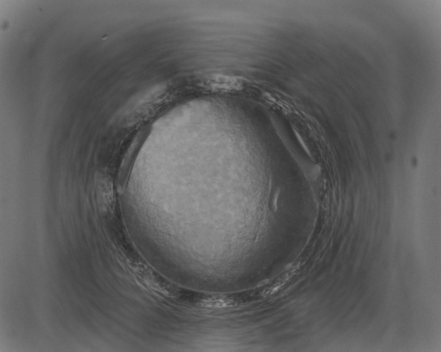 X0000084520704200703091602