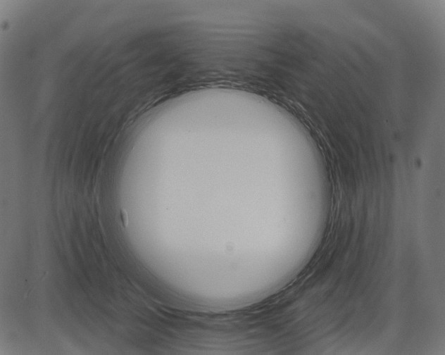 X0000084520705200703091602