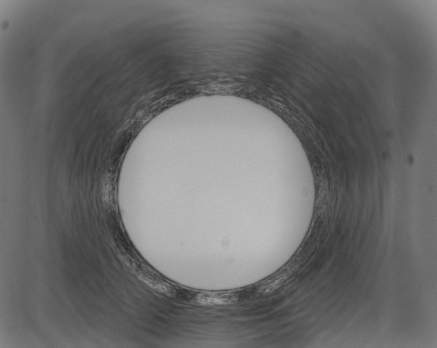 X0000084520706200703091602