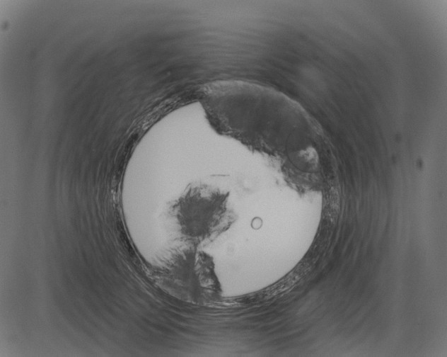 X0000084520707200703091602