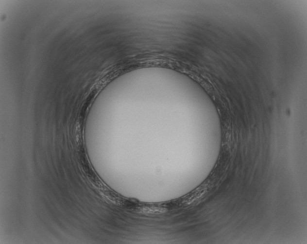 X0000084520708200703091602