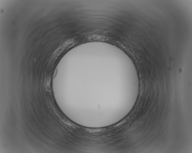 X0000084520709200703091602