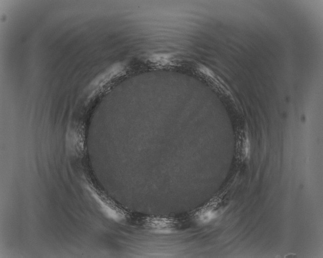 X0000084520710200703091602