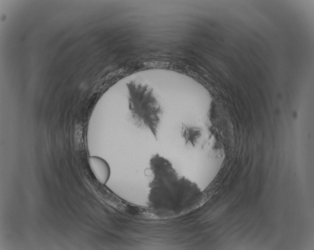 X0000084520711200703091602