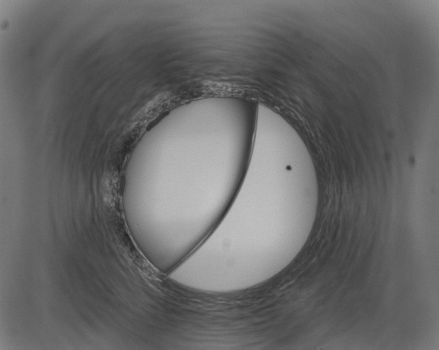 X0000084520712200703091602