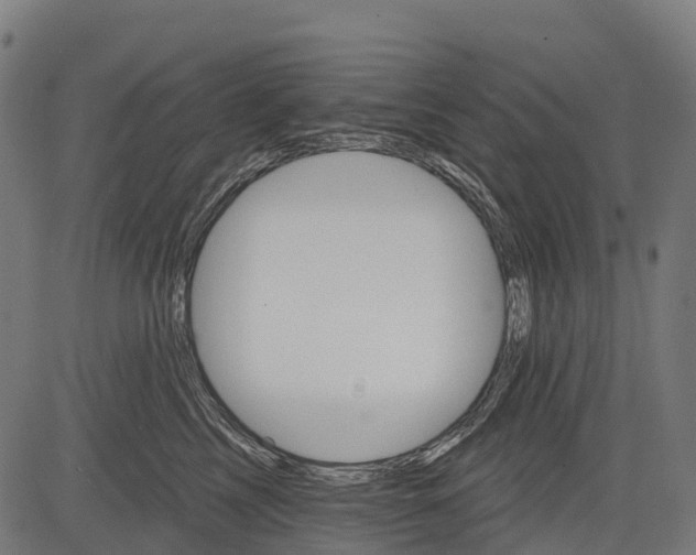 X0000084520713200703091602