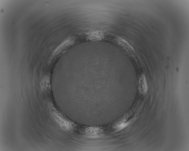 X0000084520714200703091602