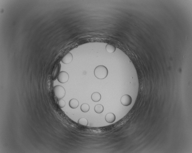 X0000084520715200703091602