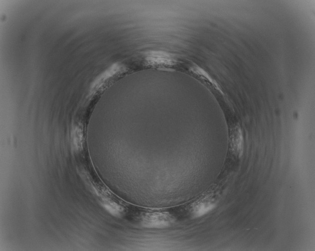 X0000084520716200703091602