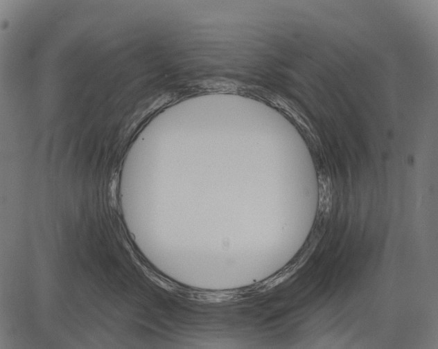 X0000084520717200703091602