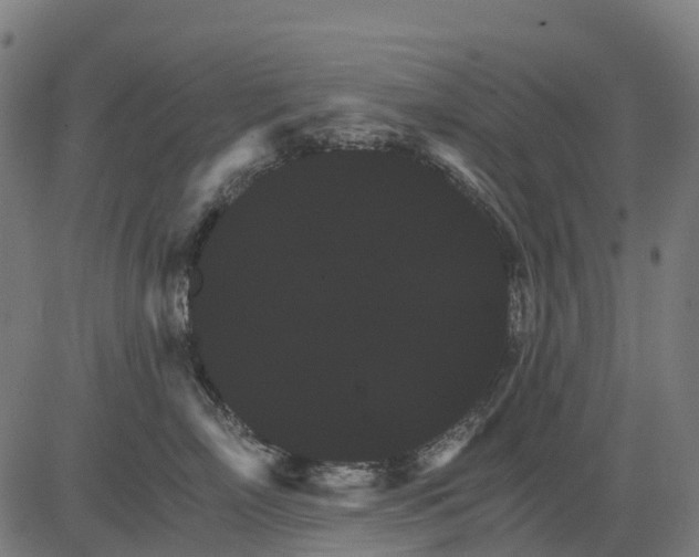 X0000084520718200703091602