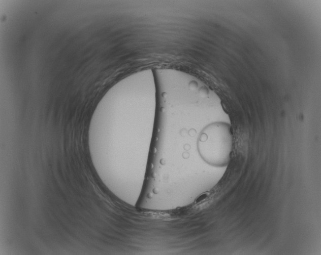 X0000084520719200703091602