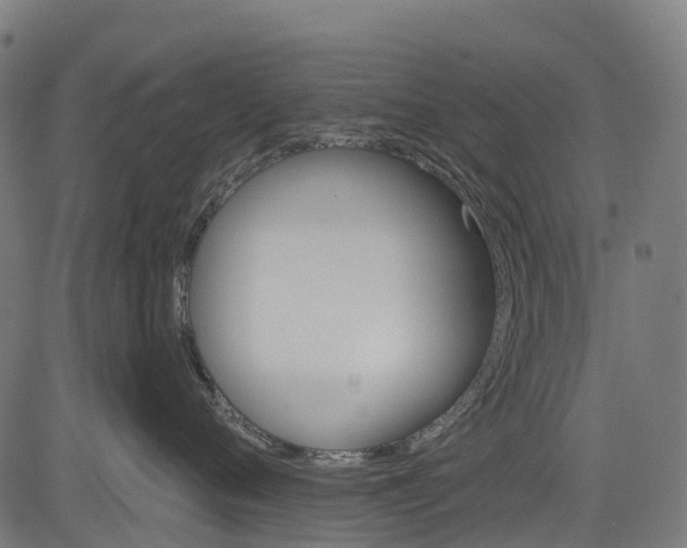 X0000084520720200703091602