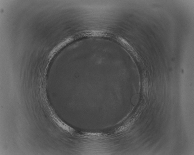 X0000084520721200703091601