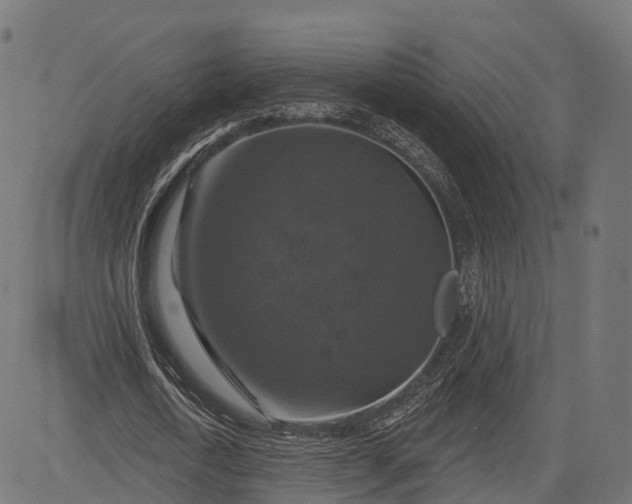 X0000084520722200703091601