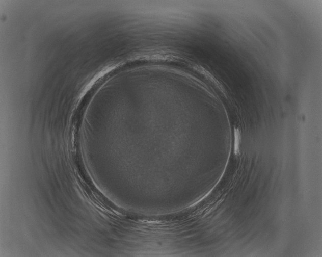 X0000084520723200703091601