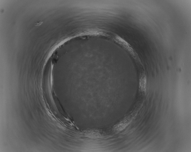 X0000084520724200703091601