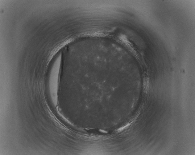 X0000084520725200703091601