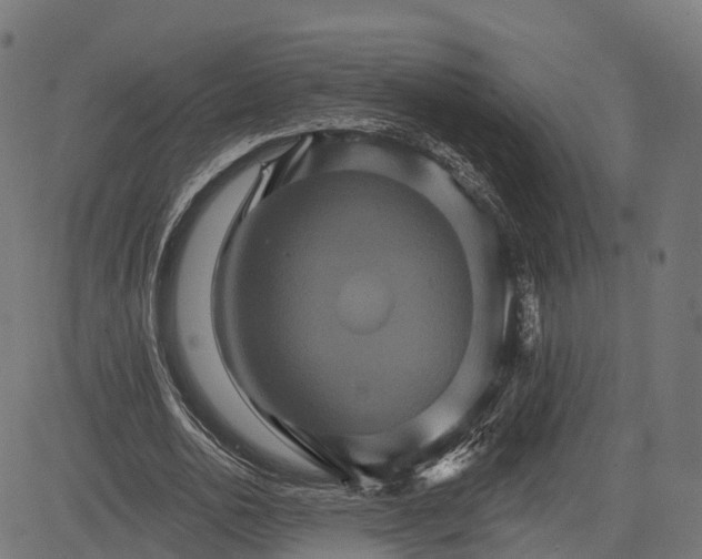 X0000084520726200703091601