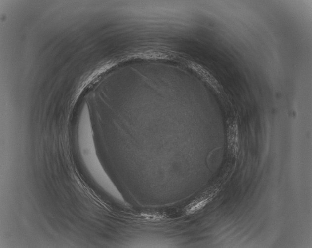 X0000084520727200703091601