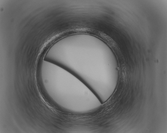 X0000084520728200703091601