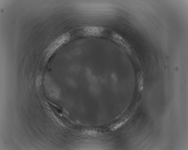 X0000084520729200703091601