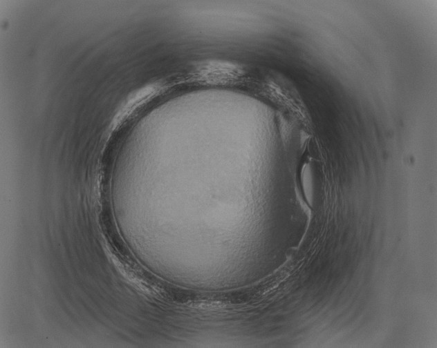 X0000084520730200703091601