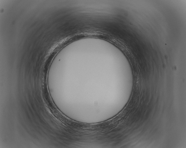 X0000084520732200703091601