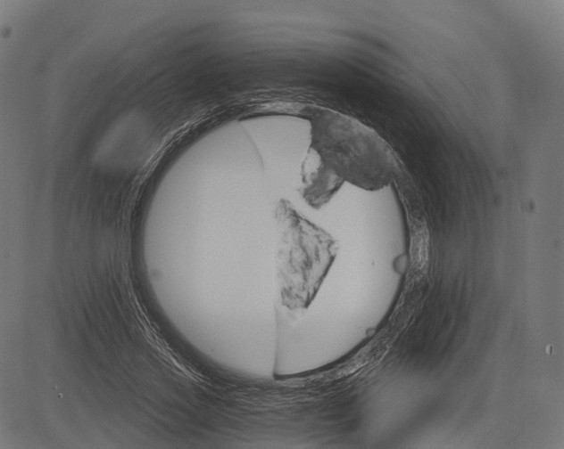 X0000084520733200703091601