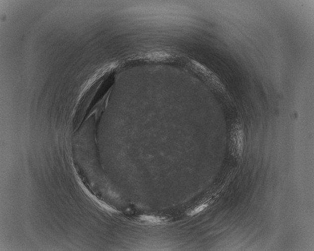 X0000084520734200703091601