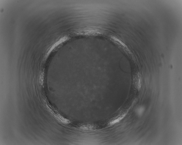 X0000084520735200703091601