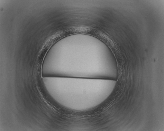 X0000084520736200703091601