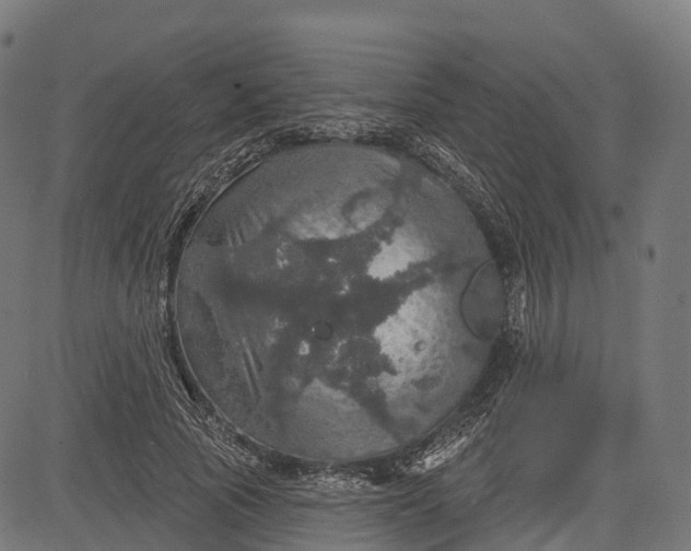 X0000084520737200703091601