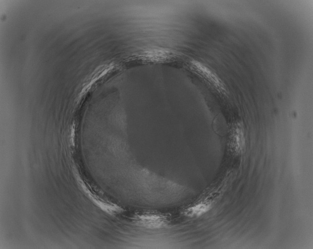 X0000084520738200703091601