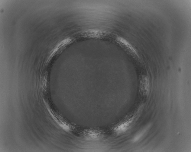 X0000084520739200703091601