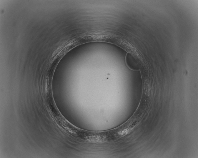 X0000084520740200703091601