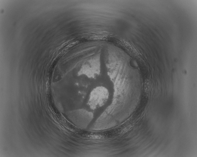 X0000084520741200703091601