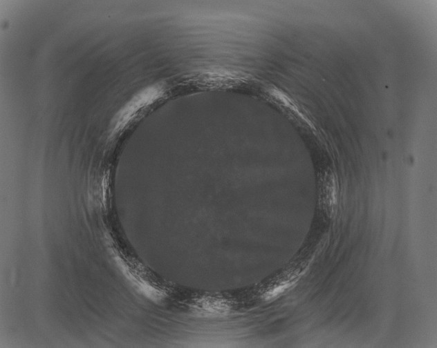 X0000084520742200703091601