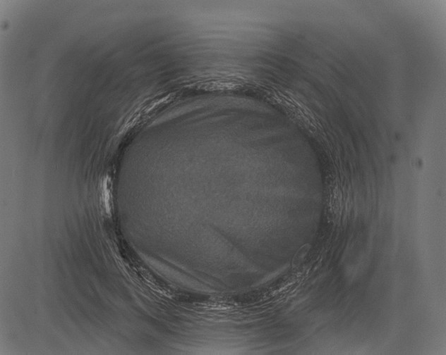 X0000084520743200703091601